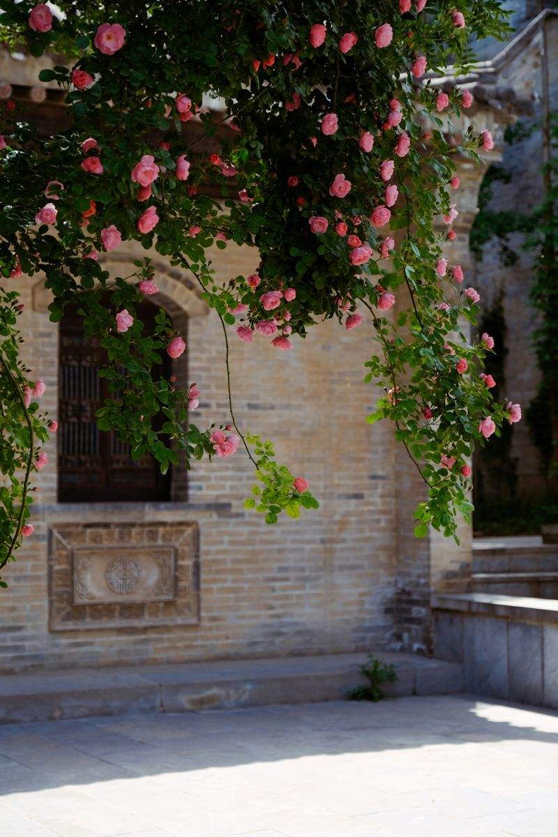 VerdeViva Jardinería
